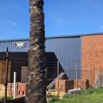 Eclipse Brewery